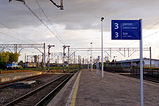 min 790 13.jpg